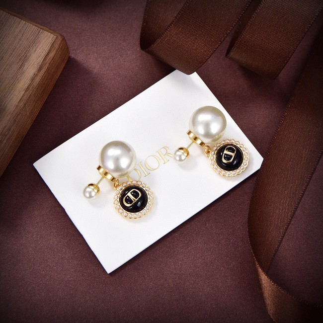 Dior Earrings CE14198