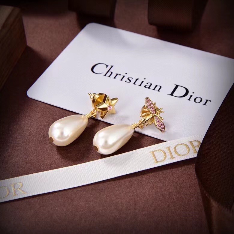 Dior Earrings CE14201