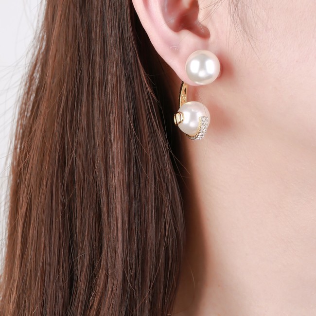 Dior Earrings CE14241