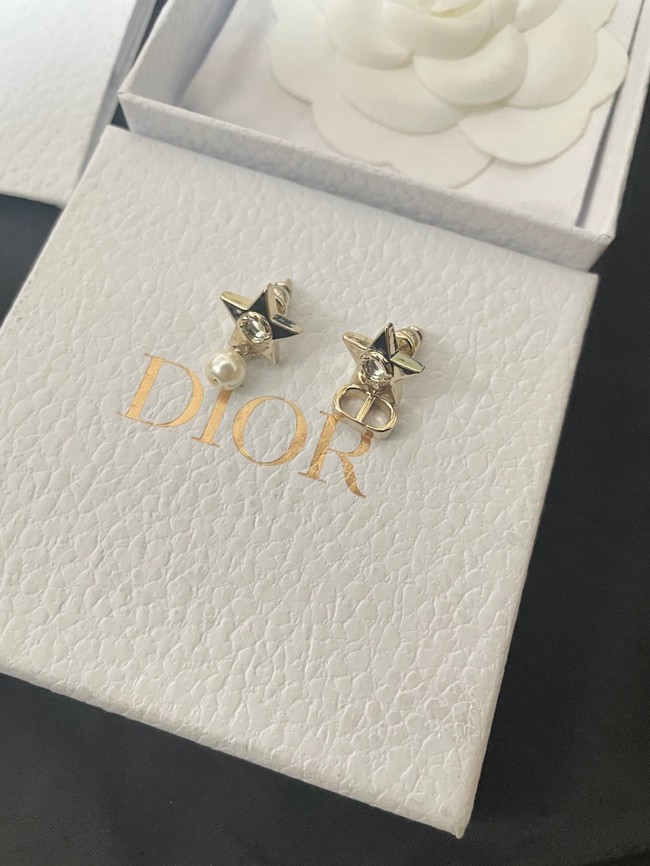 Dior Earrings CE14322