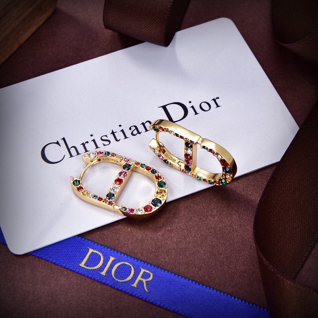 Dior Earrings CE14377