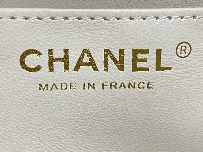 Chanel MINI FLAP BAG WITH TOP HANDLE AS4924 white