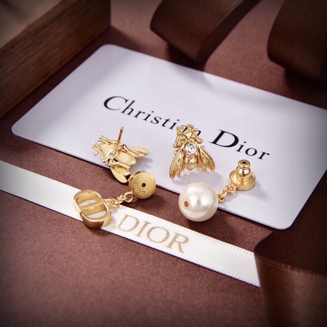 Dior Earrings CE14551