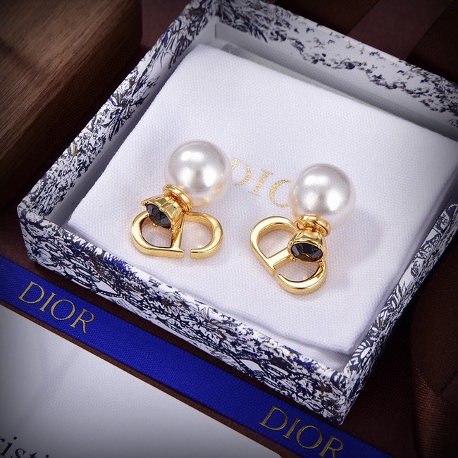 Dior Earrings CE14557