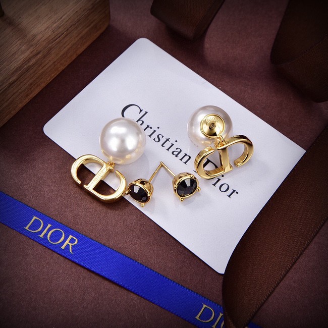 Dior Earrings CE14557