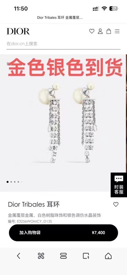 Dior Earrings CE14667