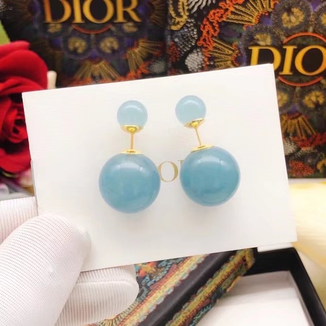 Dior Earrings CE14671