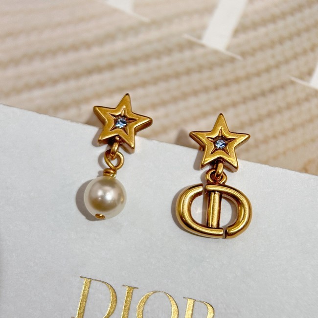 Dior Earrings CE14706