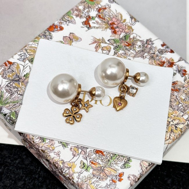 Dior Earrings CE14707