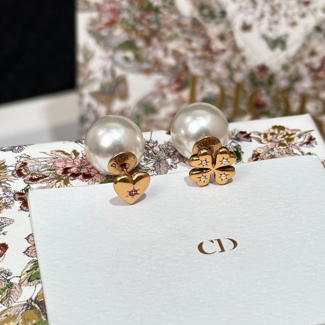 Dior Earrings CE14708