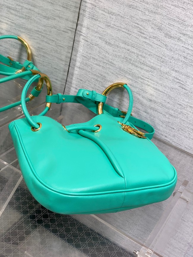 Dioriviera Medium Dior Nolita Bag Calfskin M2312UBGQ green