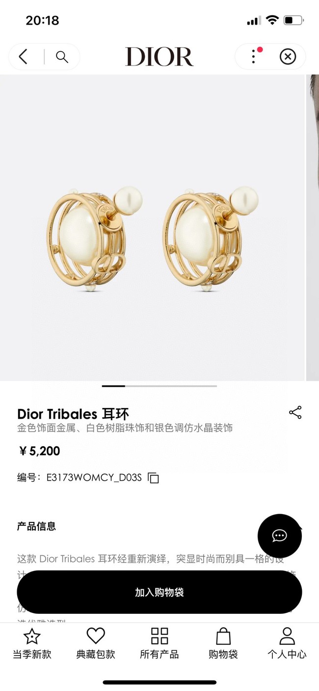 Dior Earrings CE14783