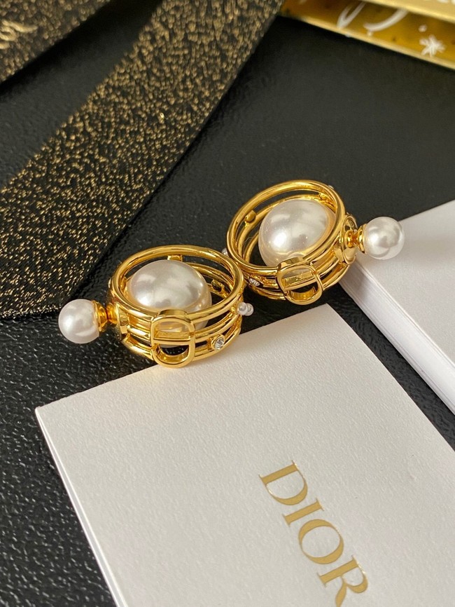 Dior Earrings CE14783