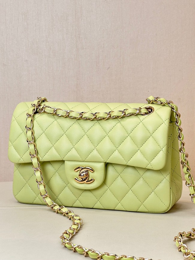 Chanel CLASSIC HANDBAG Lambskin & Gold-Tone Metal A01113 light green