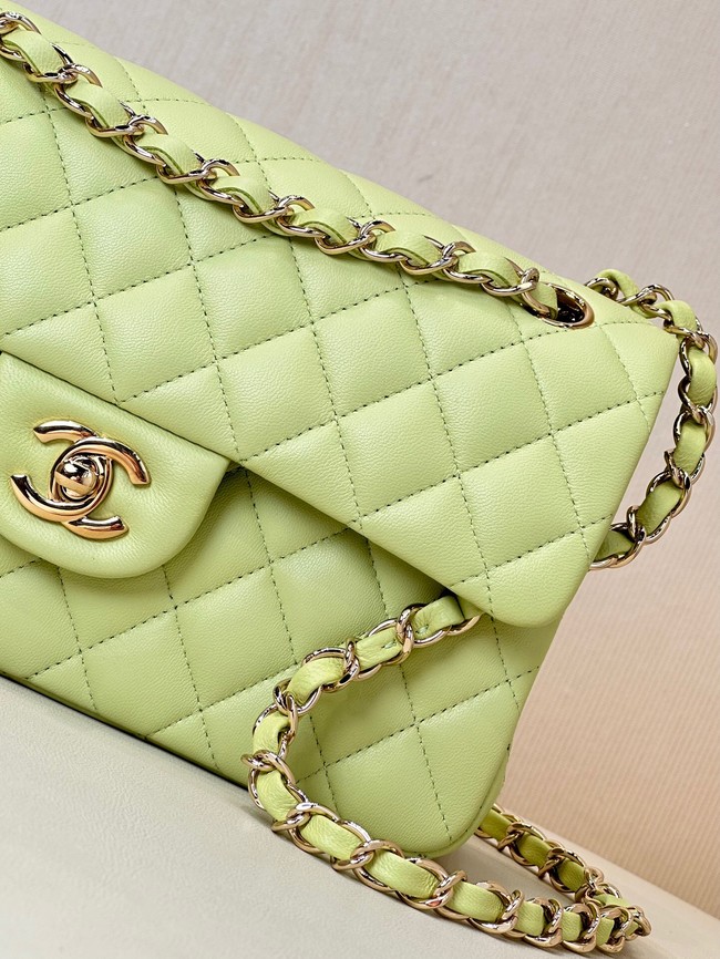 Chanel CLASSIC HANDBAG Lambskin & Gold-Tone Metal A01113 light green