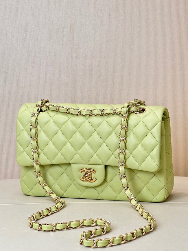 Chanel CLASSIC HANDBAG Lambskin & Gold-Tone Metal A01113 light green