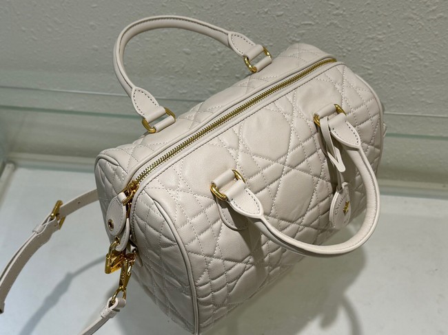 Dior Groove 25 Bag Dusty Ivory Macrocannage Calfskin M1365UBO