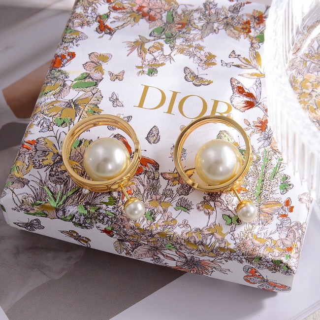 Dior Earrings CE14854