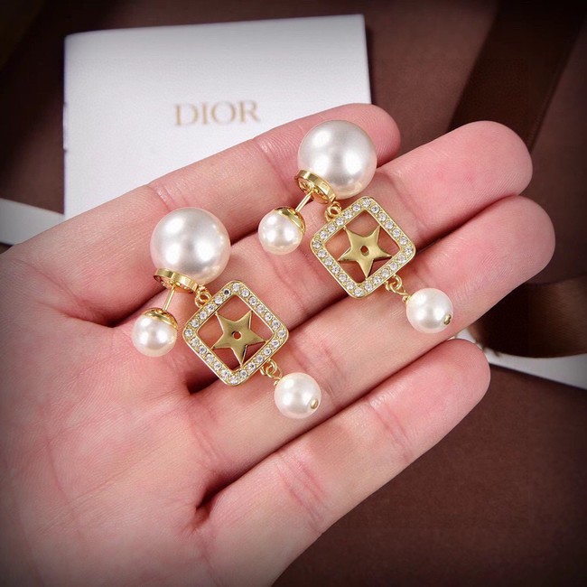 Dior Earrings CE14855