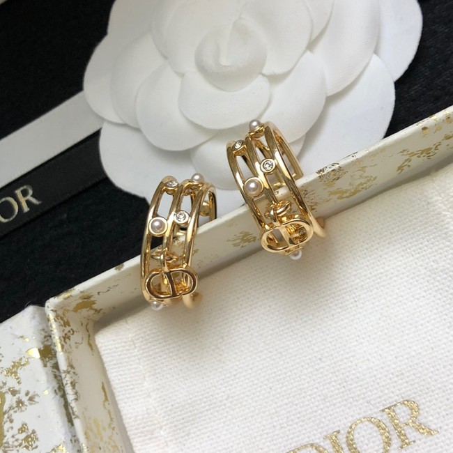 Dior Earrings CE14872