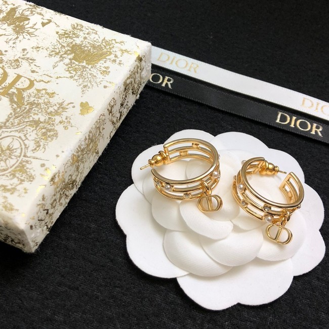 Dior Earrings CE14872