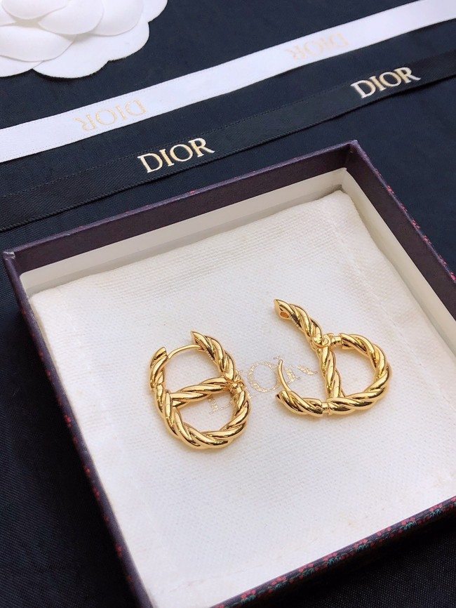 Dior Earrings CE14873