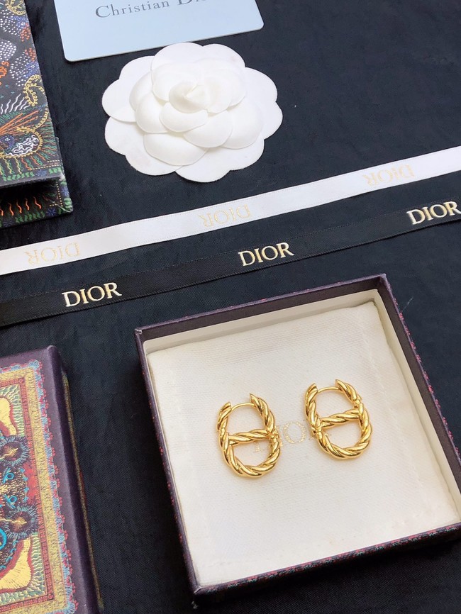 Dior Earrings CE14873