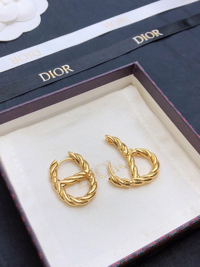 Dior Earrings CE14873