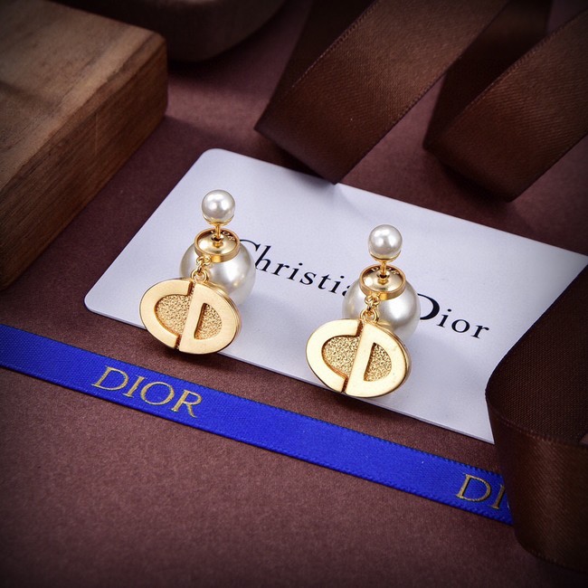 Dior Earrings CE14907