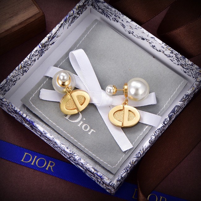 Dior Earrings CE14907