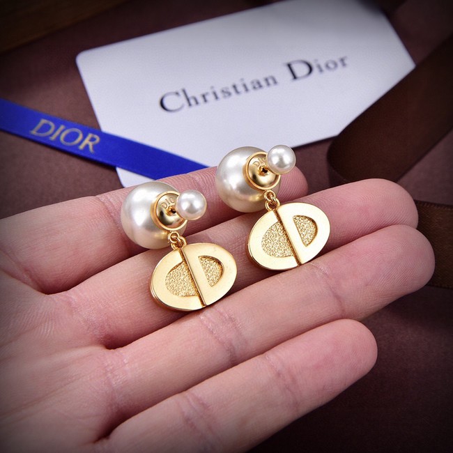 Dior Earrings CE14907