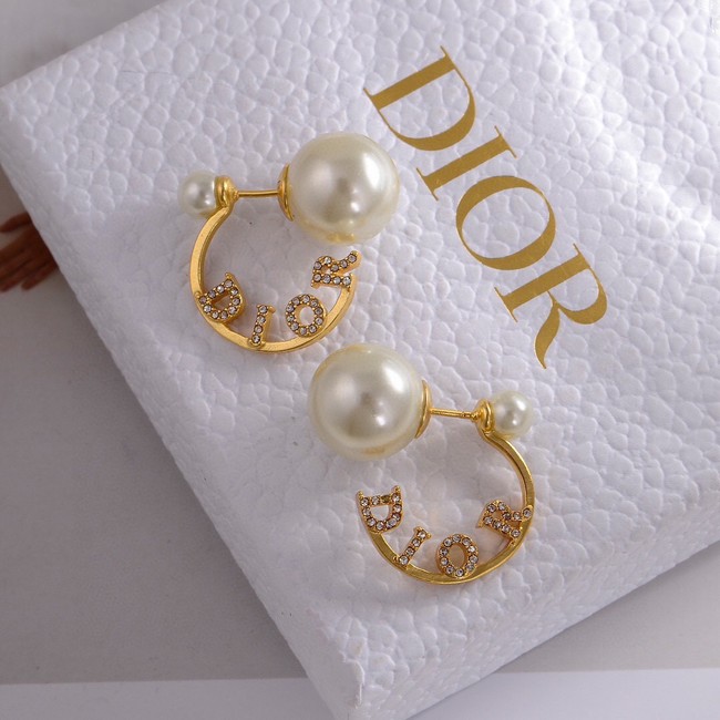 Dior Earrings CE14908