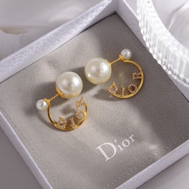 Dior Earrings CE14908