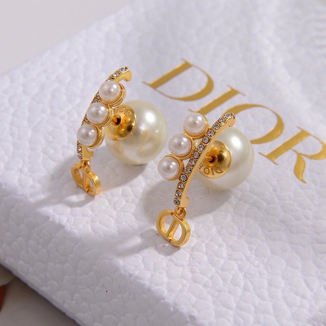 Dior Earrings CE14910