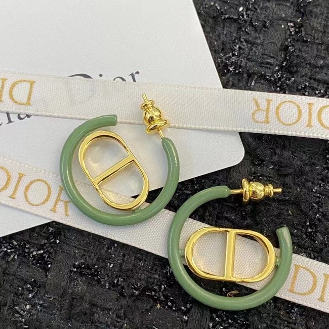 Dior Earrings CE14955