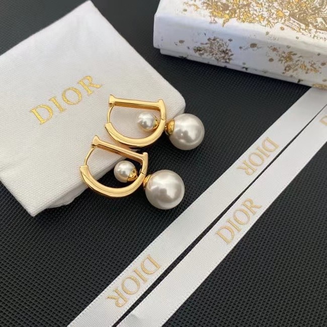 Dior Earrings CE14983