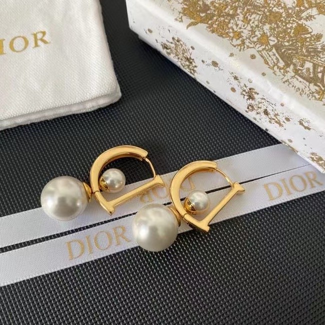 Dior Earrings CE14983