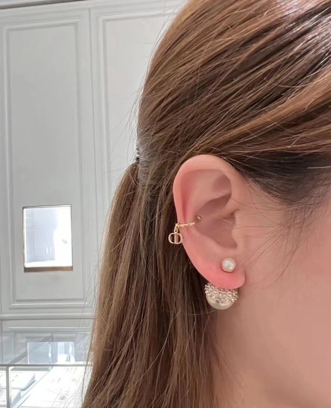 Dior Earrings CE14999