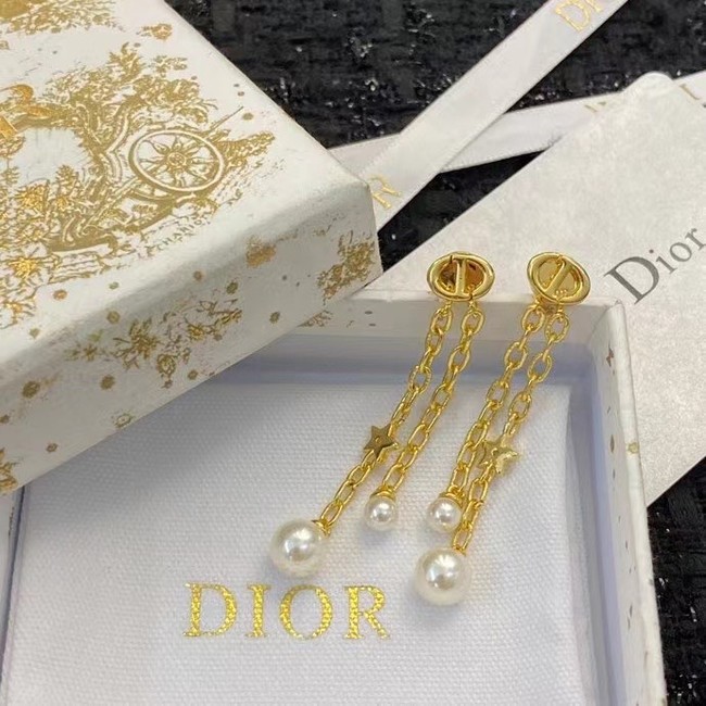 Dior Earrings CE15007