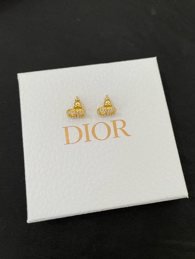 Dior Earrings CE15011