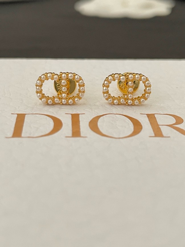 Dior Earrings CE15011