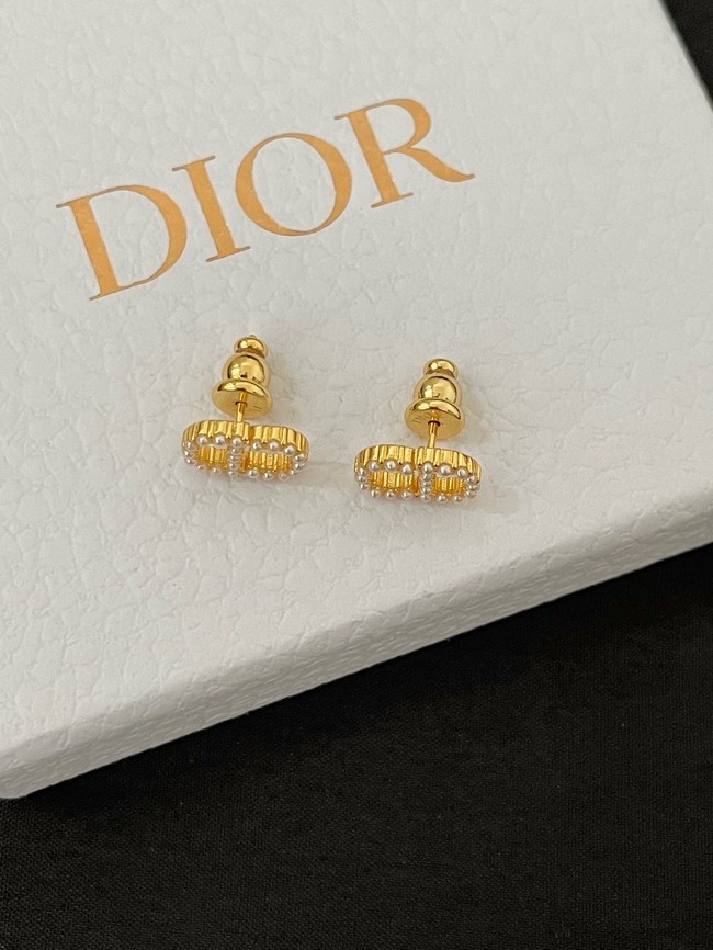 Dior Earrings CE15011