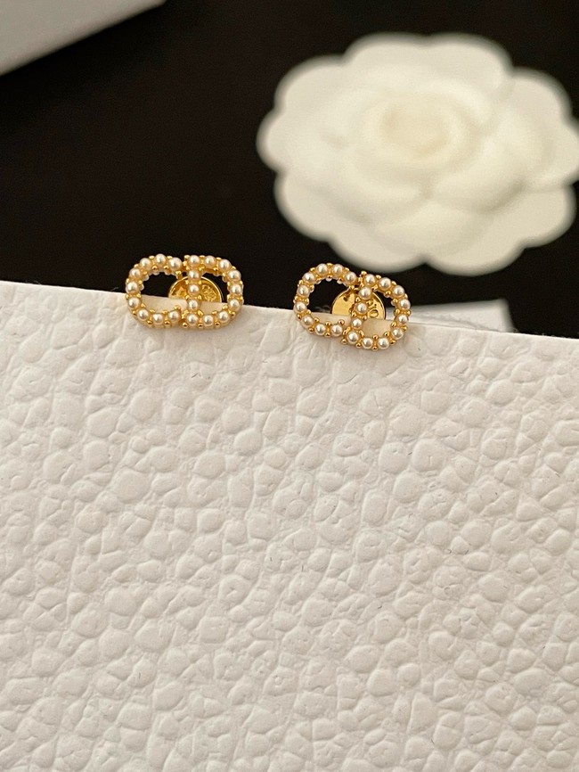 Dior Earrings CE15011