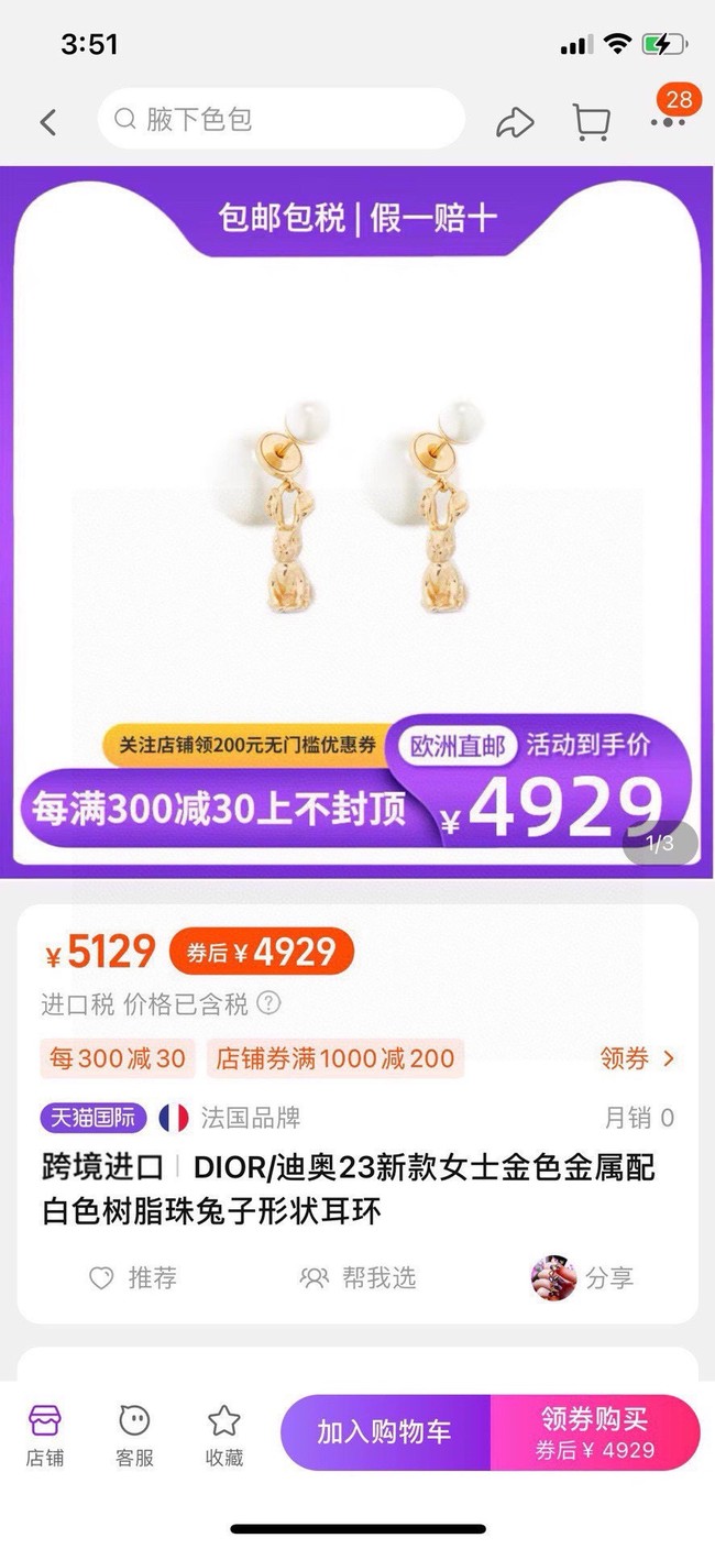 Dior Earrings CE15019