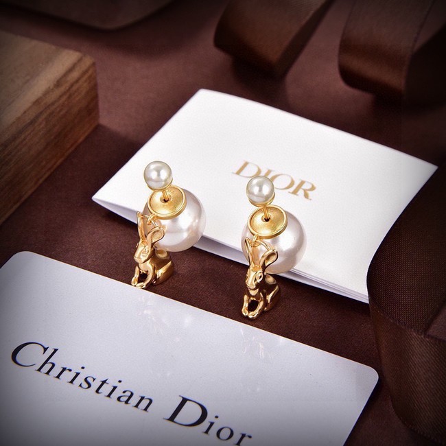 Dior Earrings CE15019