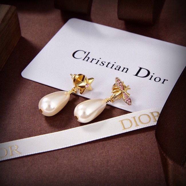 Dior Earrings CE15041