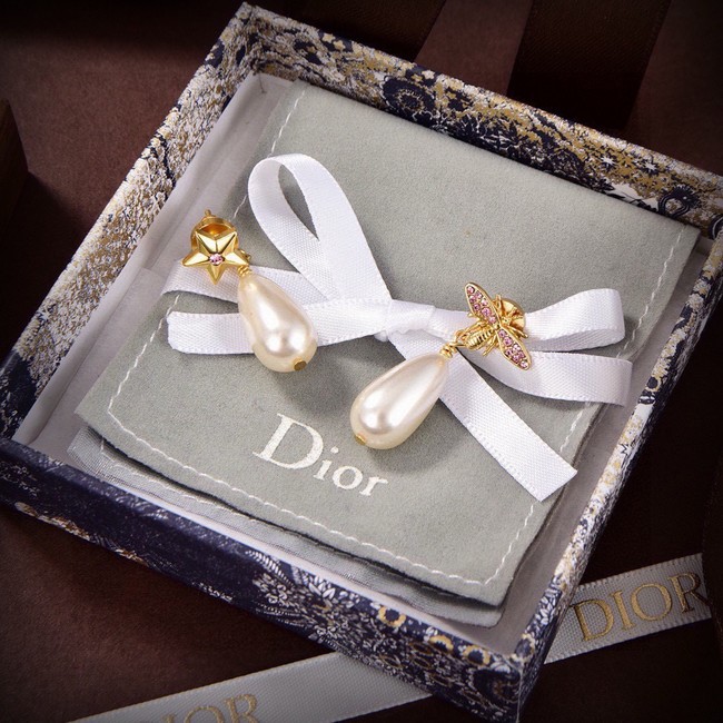 Dior Earrings CE15041