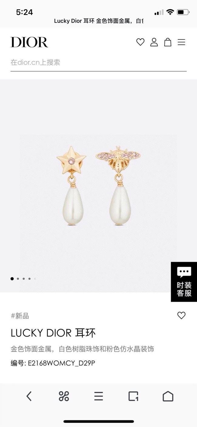 Dior Earrings CE15041