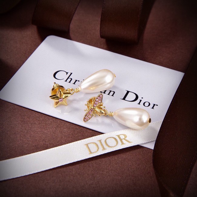 Dior Earrings CE15041