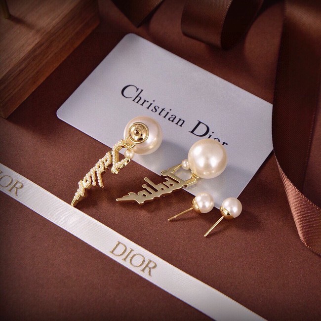 Dior Earrings CE15043